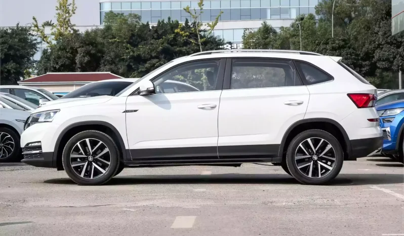 
								Škoda KAMIQ full									